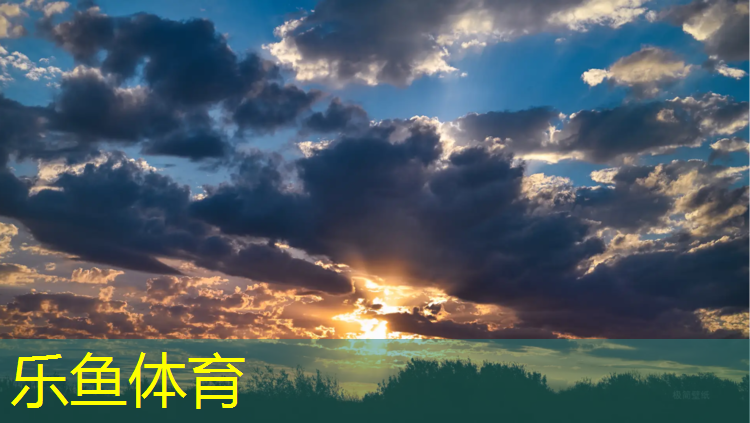 乐鱼体育,莱州公共塑胶跑道改造项目
