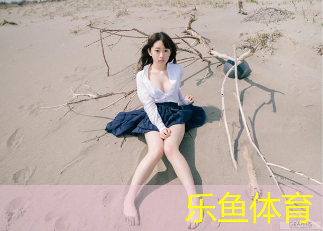 网球网怎么选_