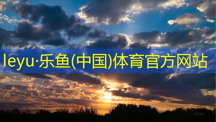 田径投掷类器材