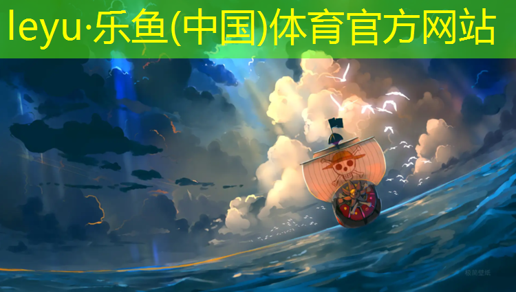 优质塑胶跑道施工做法